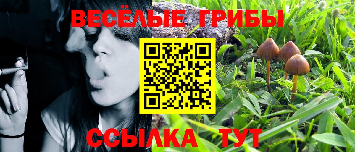 Псилоцибиновые грибы MAGIC MUSHROOMS  Вход с VPN  Сорочинск  Галлюциногенные грибы прущие грибы 